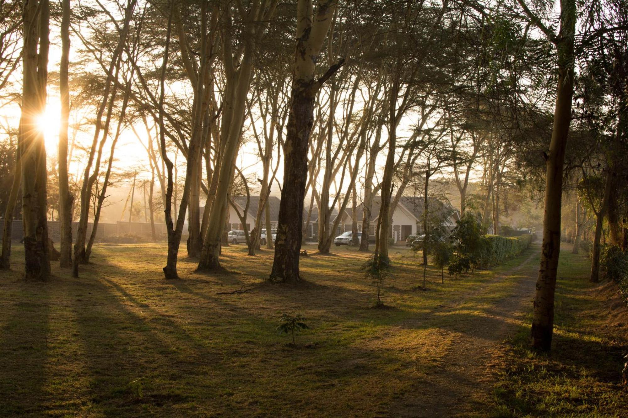 Burch'S Resort Naivasha Camping エクステリア 写真